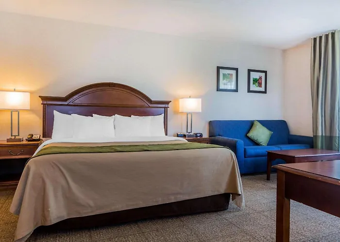 Comfort Inn & Suites South Burlington Near University
